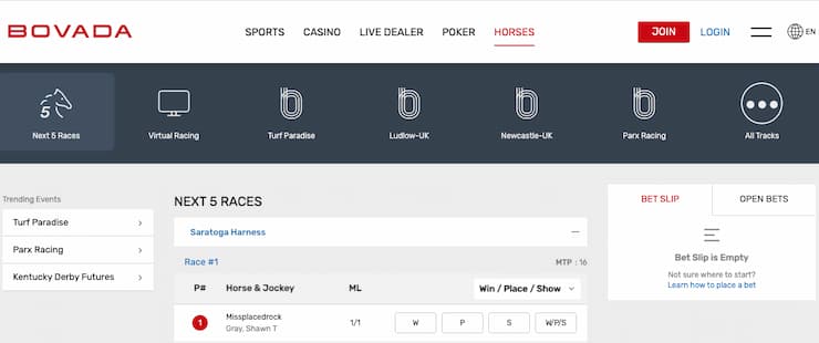 TX Horse Racing– Comparing the Best Betting Sites for Horse Racing in Texas