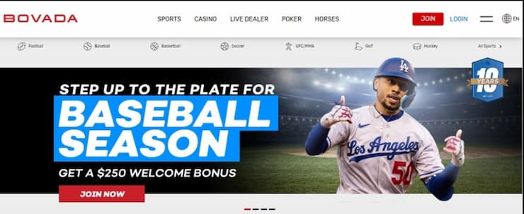 Minnesota Online Sports Betting - Is It Legal? Get Over $5,000 at the Top 10 Online MN Sportsbooks